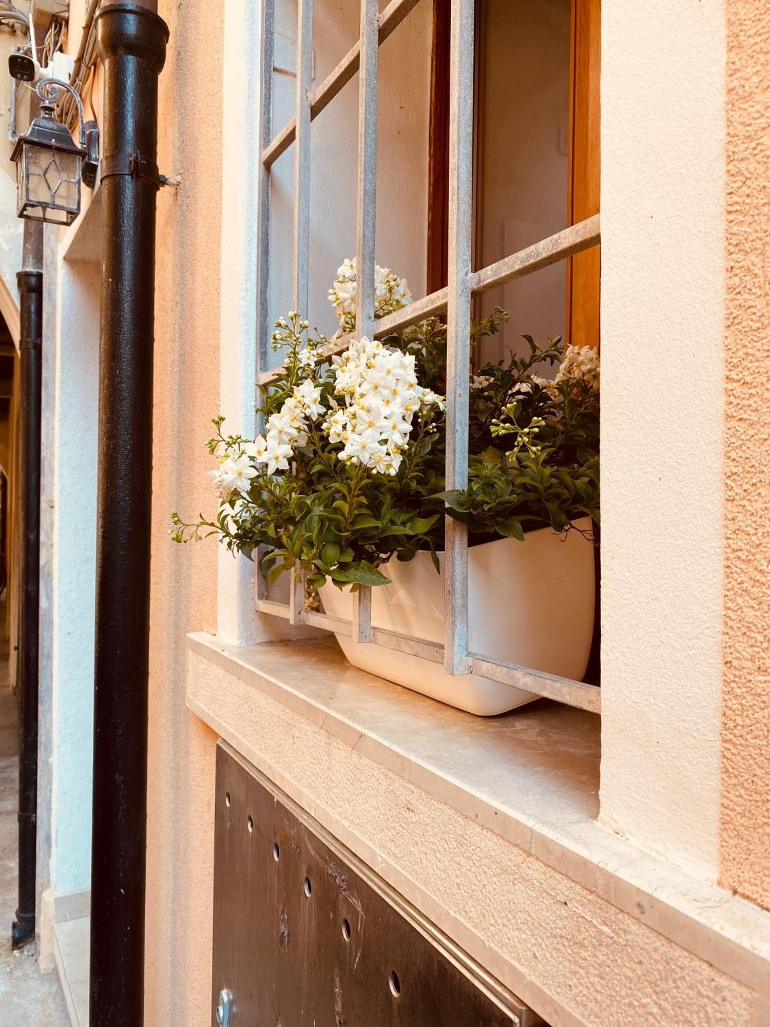 Casabella Chioggia Casa Indipendente Con Corte Exteriér fotografie